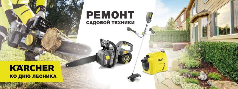 С Днём лесника!
